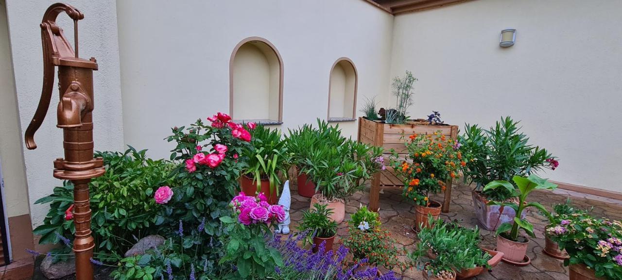 Die Ferienwohnung Am Kietz Schwedt/Oder Exterior foto